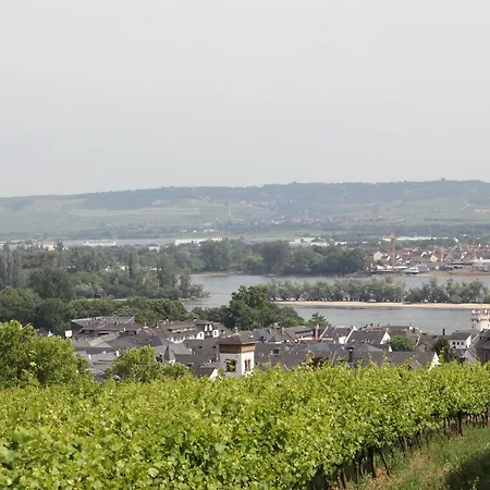 Ferienwohnung Luna Apartment Ruedesheim am Rhein